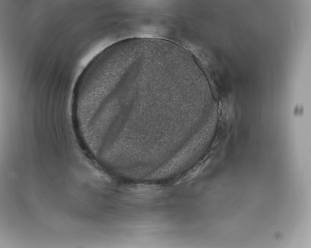 X0000090730292200708171953