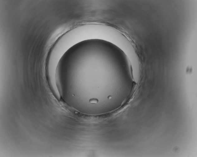 X0000090730293200708171953