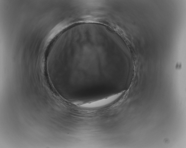 X0000090730295200708171953