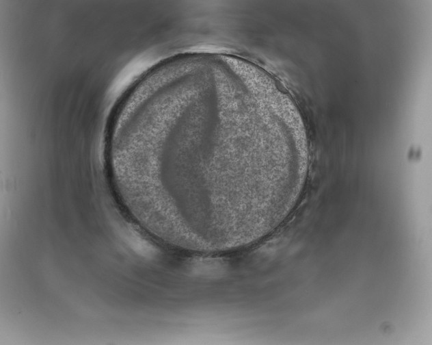 X0000090730296200708171953