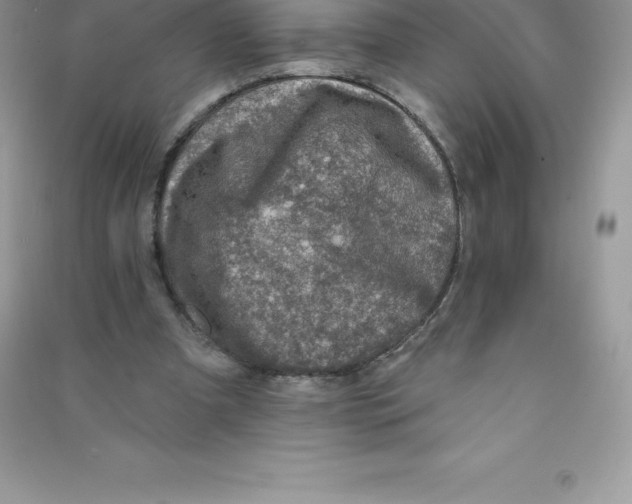 X0000090730297200708171953