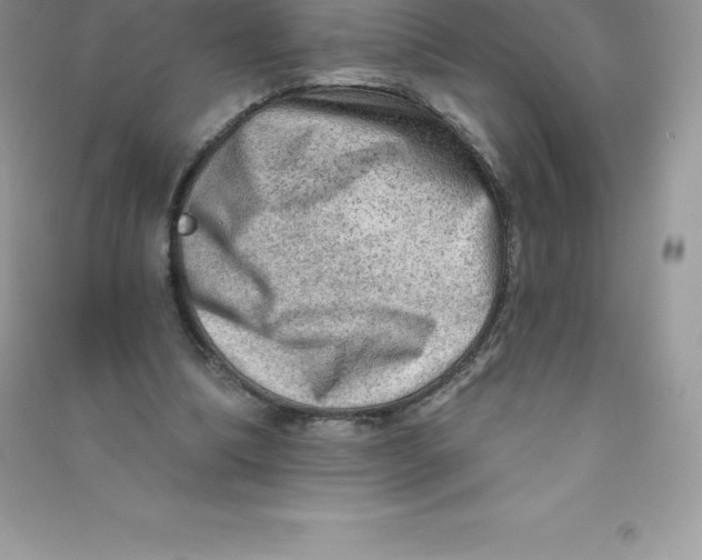 X0000090730298200708171953