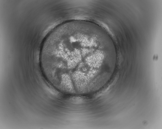 X0000090730299200708171953