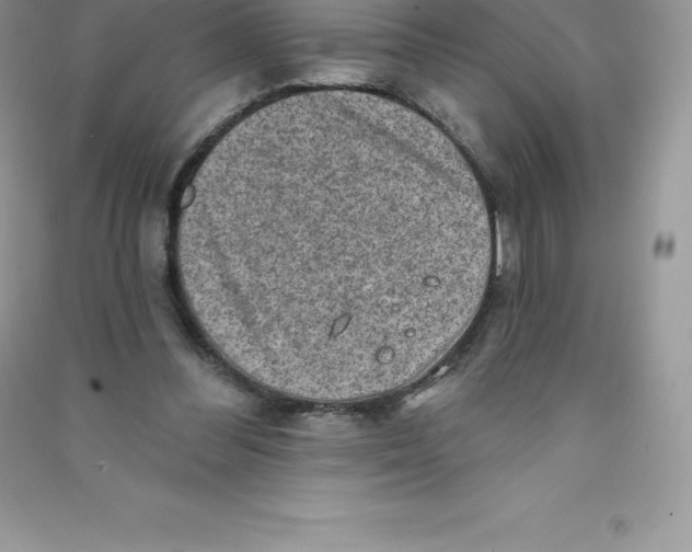 X0000090730300200708171952