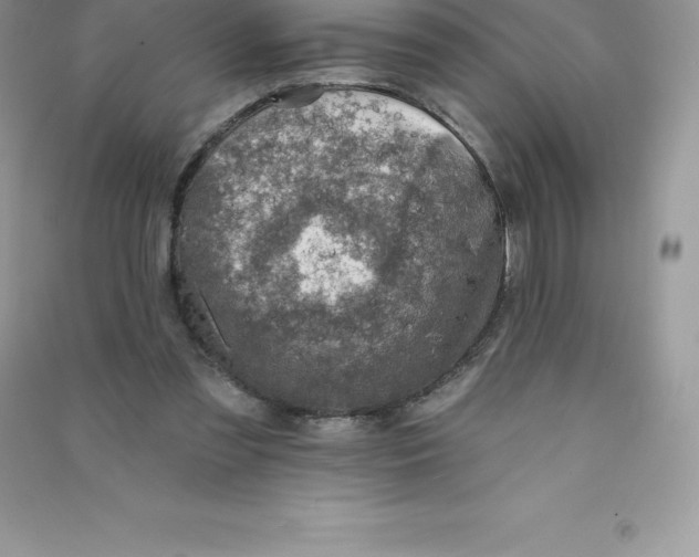 X0000090730301200708171952