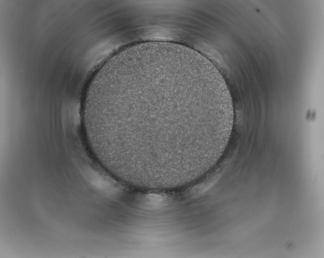 X0000090730302200708171952