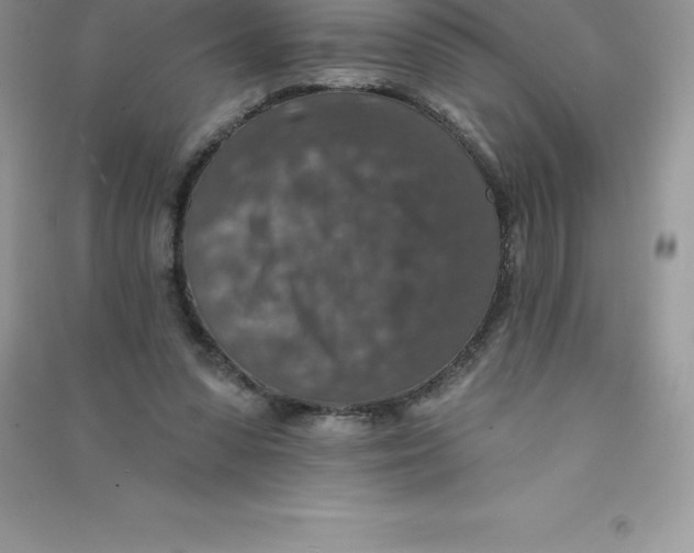 X0000090730303200708171952