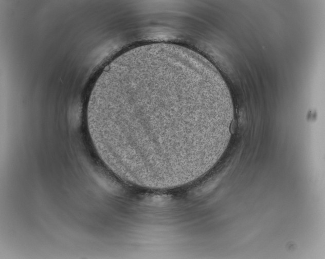 X0000090730304200708171952