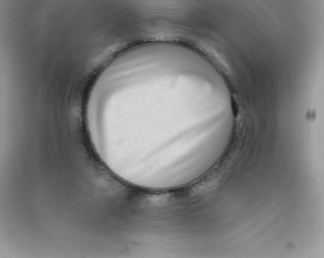 X0000090730306200708171952