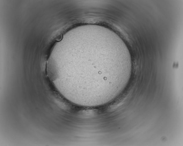 X0000090730307200708171952