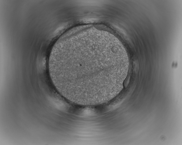 X0000090730308200708171952