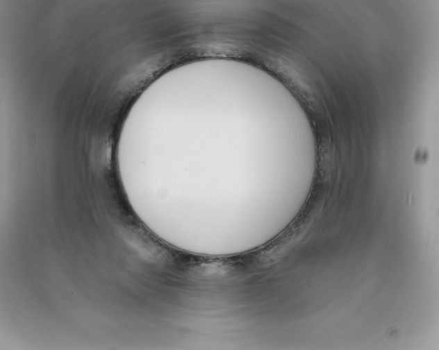 X0000090730310200708171952