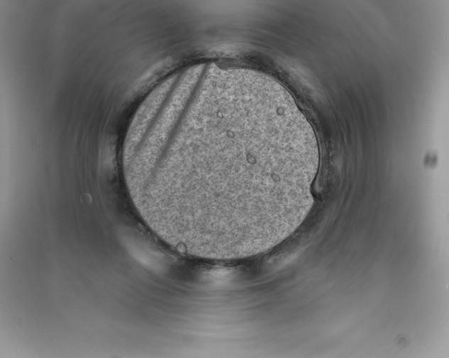 X0000090730312200708171952