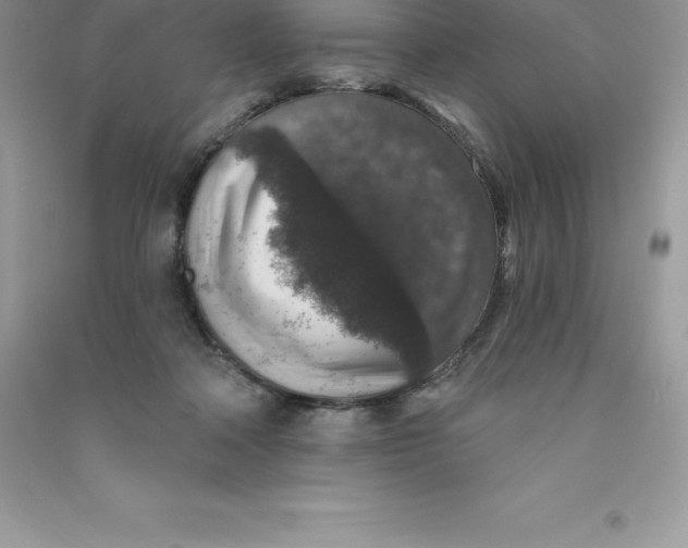 X0000090730314200708171952