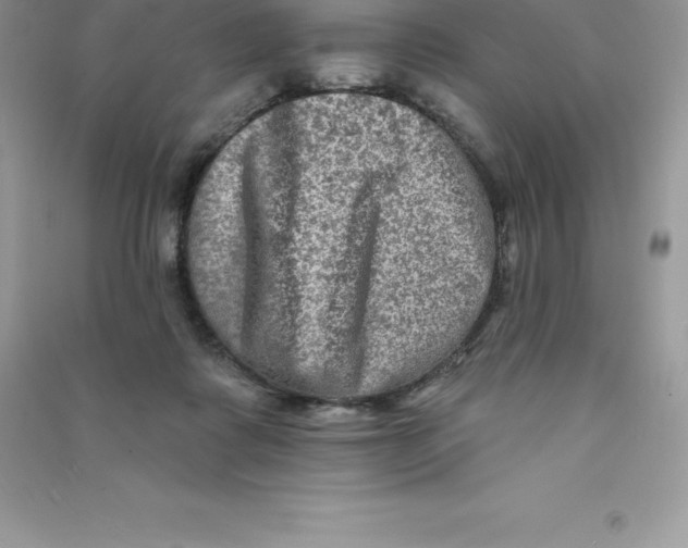 X0000090730315200708171952