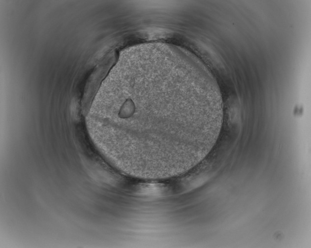 X0000090730316200708171952