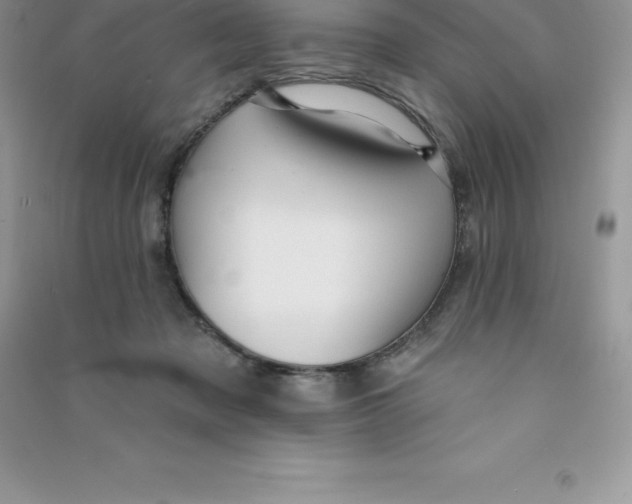 X0000090730317200708171952