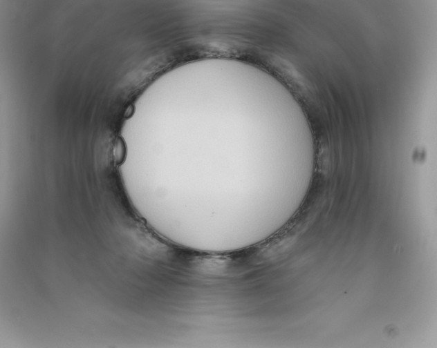 X0000090730318200708171952