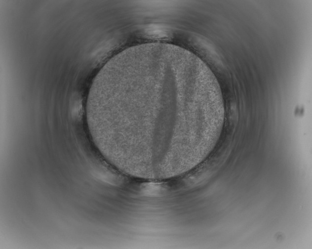 X0000090730320200708171952