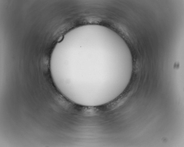 X0000090730321200708171952