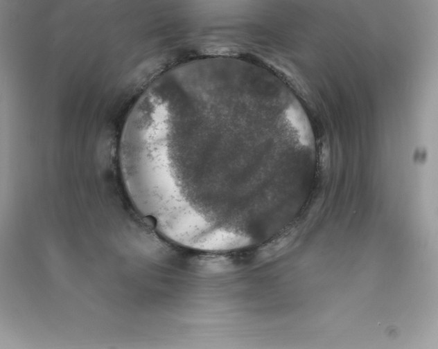 X0000090730322200708171952