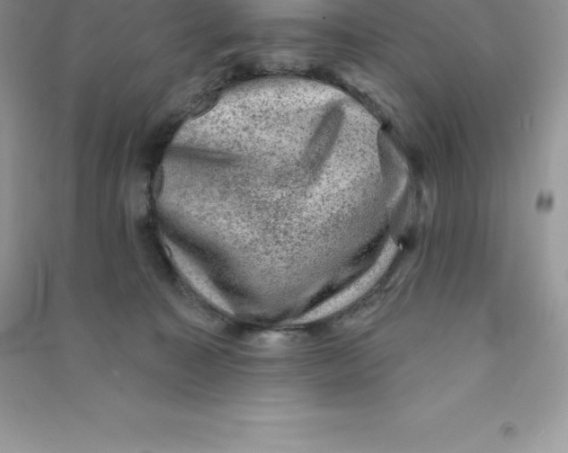 X0000090730323200708171952