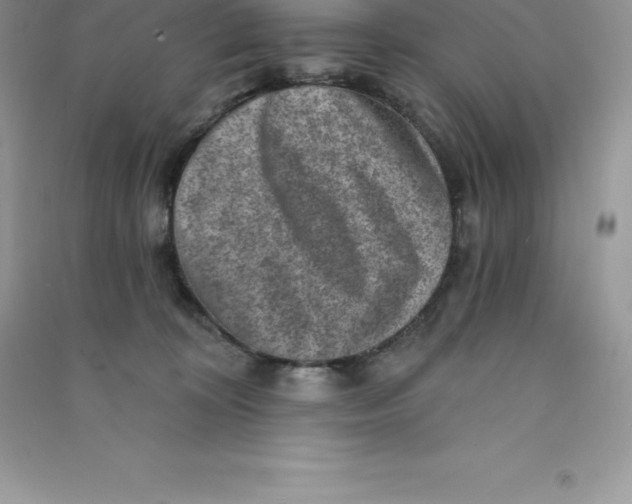 X0000090730324200708171952