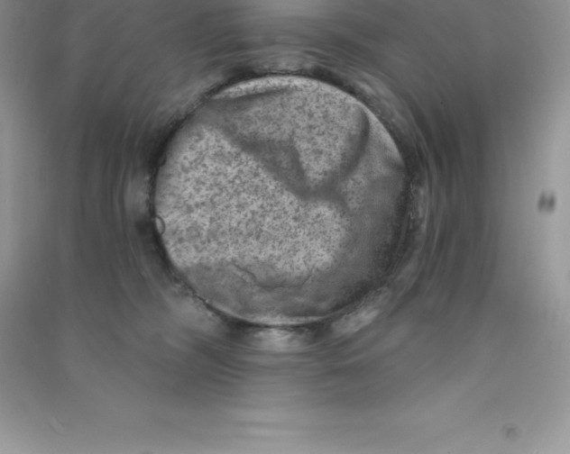 X0000090730326200708171952