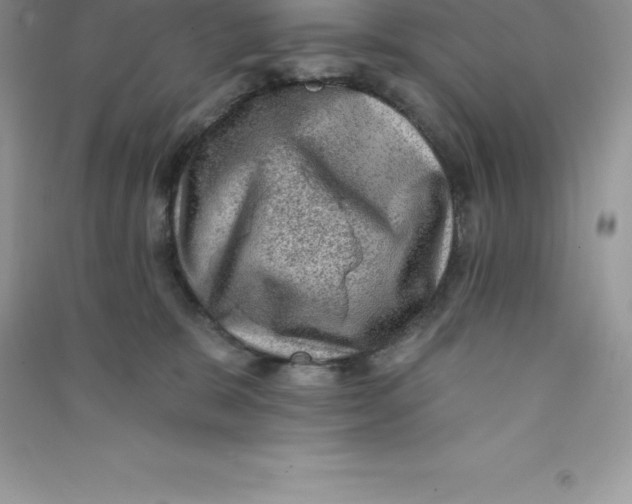 X0000090730327200708171952