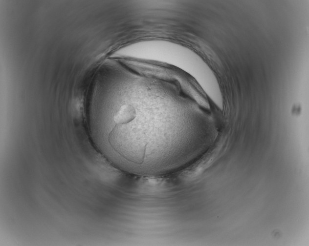 X0000090730329200708171952