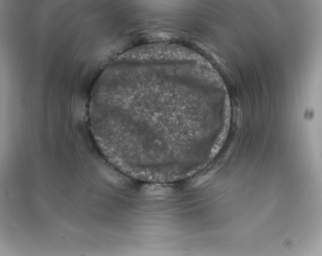 X0000090730331200708171952