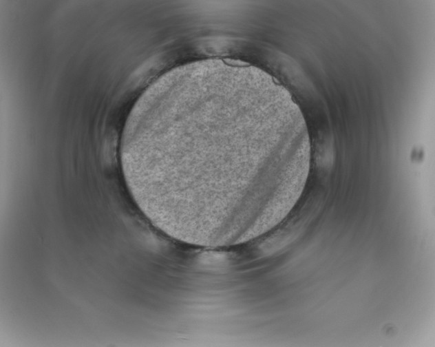 X0000090730332200708171952