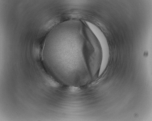 X0000090730333200708171952