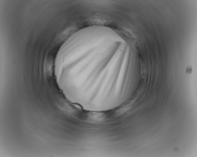 X0000090730334200708171952