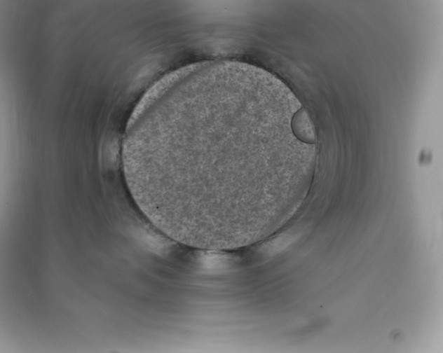 X0000090730336200708171952