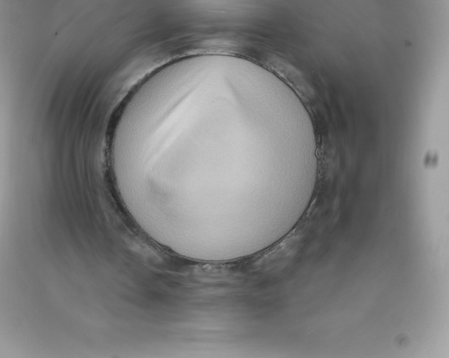 X0000090730338200708171951