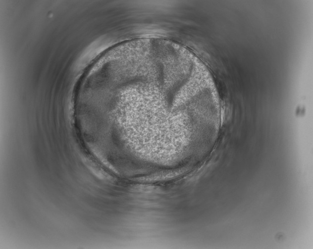 X0000090730339200708171951