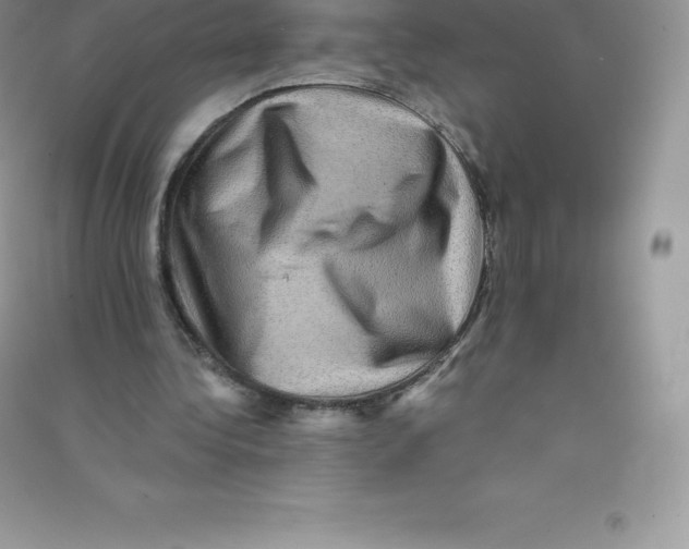 X0000090730340200708171951