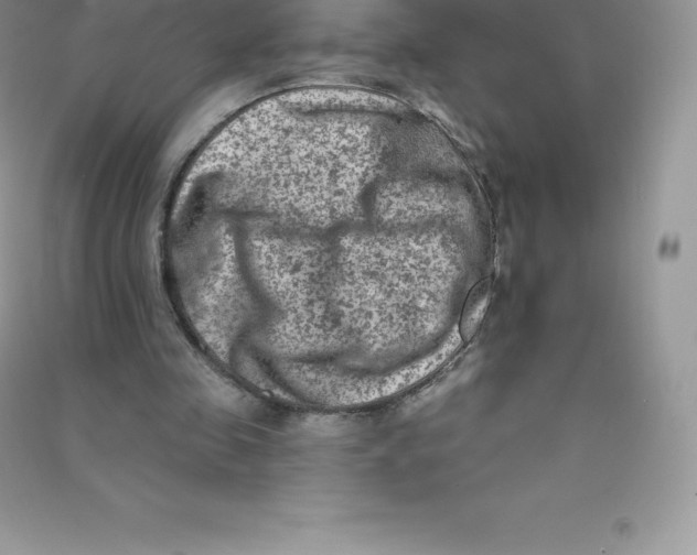 X0000090730341200708171952