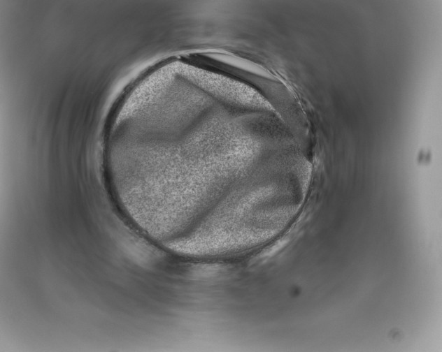 X0000090730342200708171952