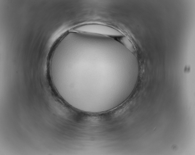 X0000090730344200708171952