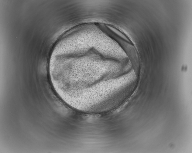 X0000090730345200708171952