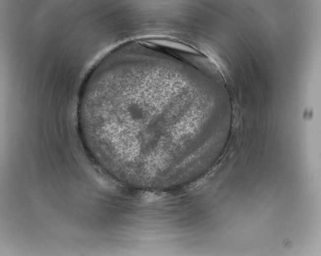 X0000090730346200708171952