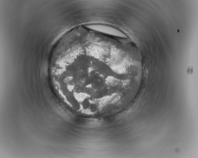 X0000090730347200708171952