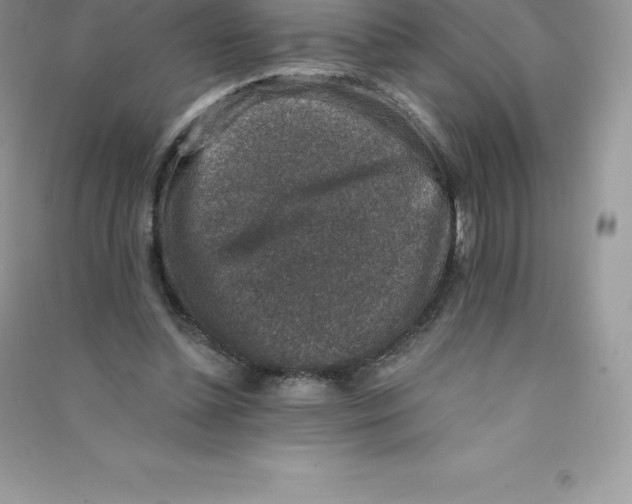 X0000090730348200708171952