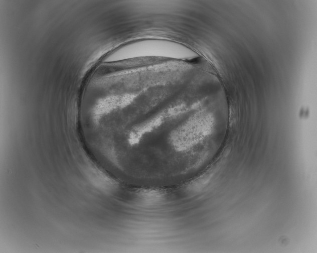 X0000090730349200708171952