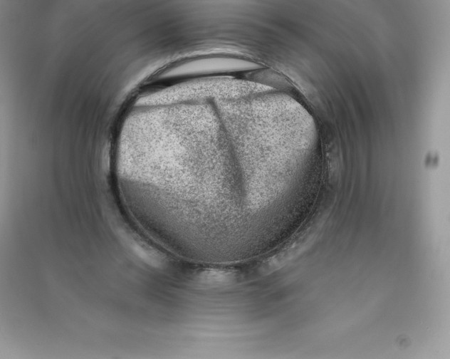 X0000090730350200708171952