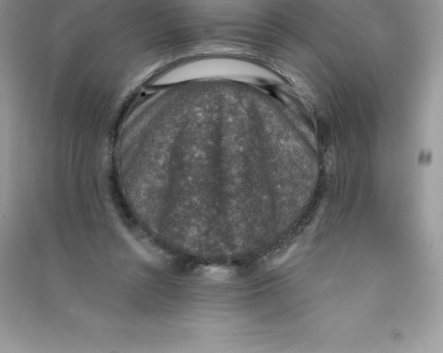 X0000090730352200708171952