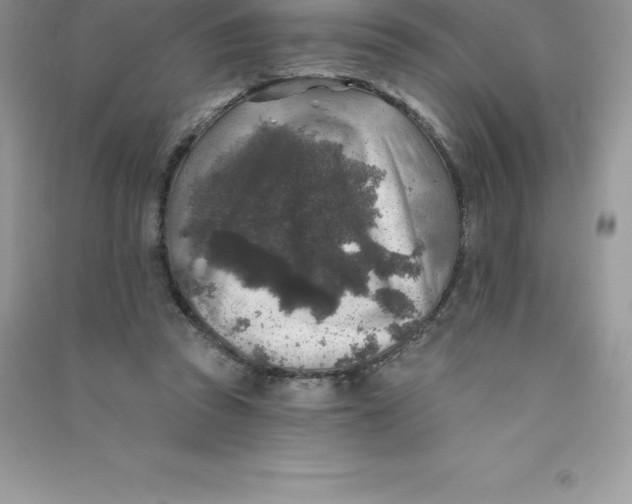 X0000090730353200708171952