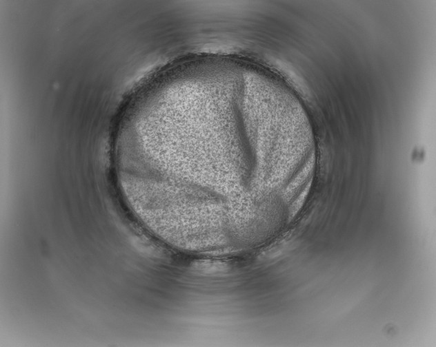 X0000090730354200708171952